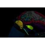 Airframe Pro Krazy Klown 2 - Image 11